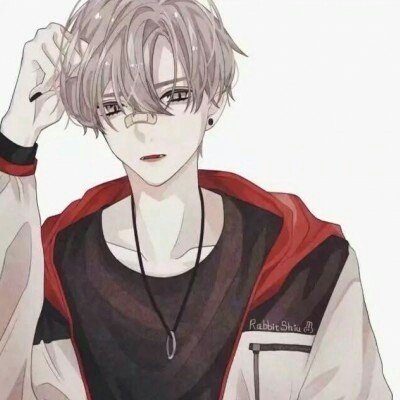 杭州“挖鼻孔”长颈鹿走红